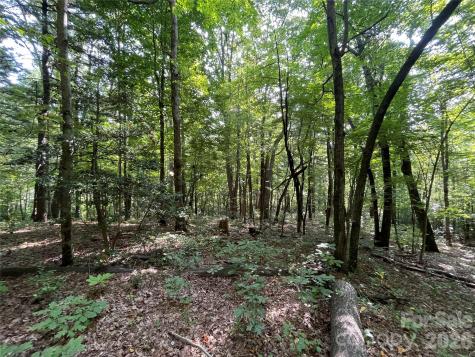 Lot 20 Haverhill Court Flat Rock NC 28731