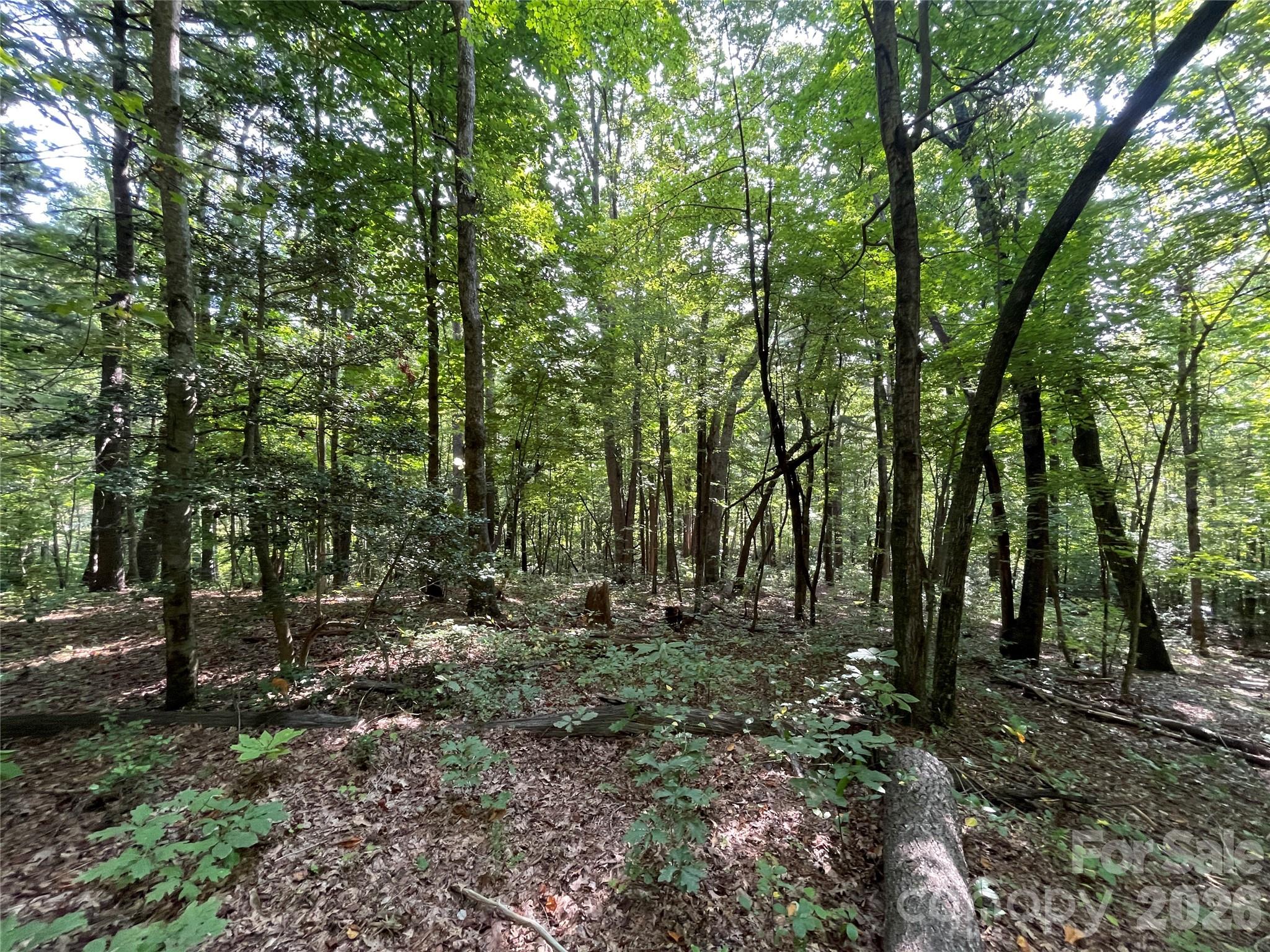 Lot 20 Haverhill Court Flat Rock NC 28731