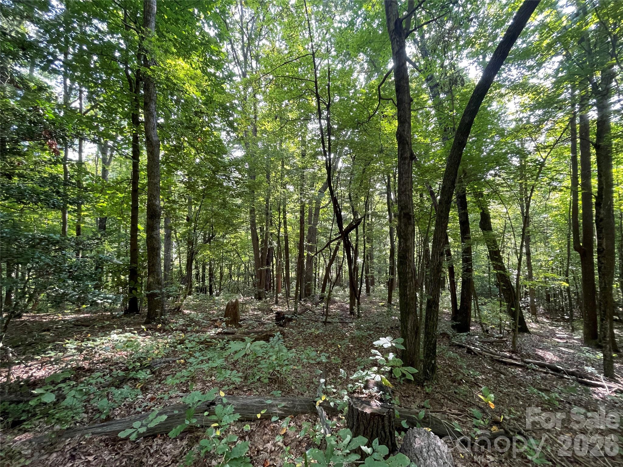 Lot 20 Haverhill Court Flat Rock NC 28731