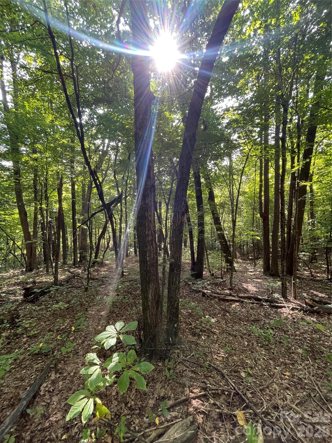 Lot 20 Haverhill Court Flat Rock NC 28731