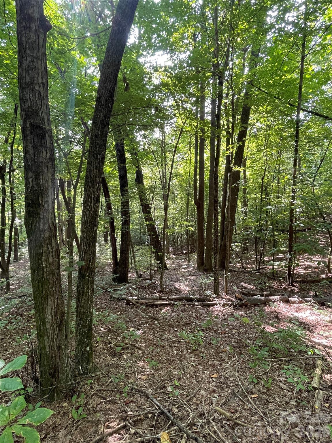 Lot 20 Haverhill Court Flat Rock NC 28731