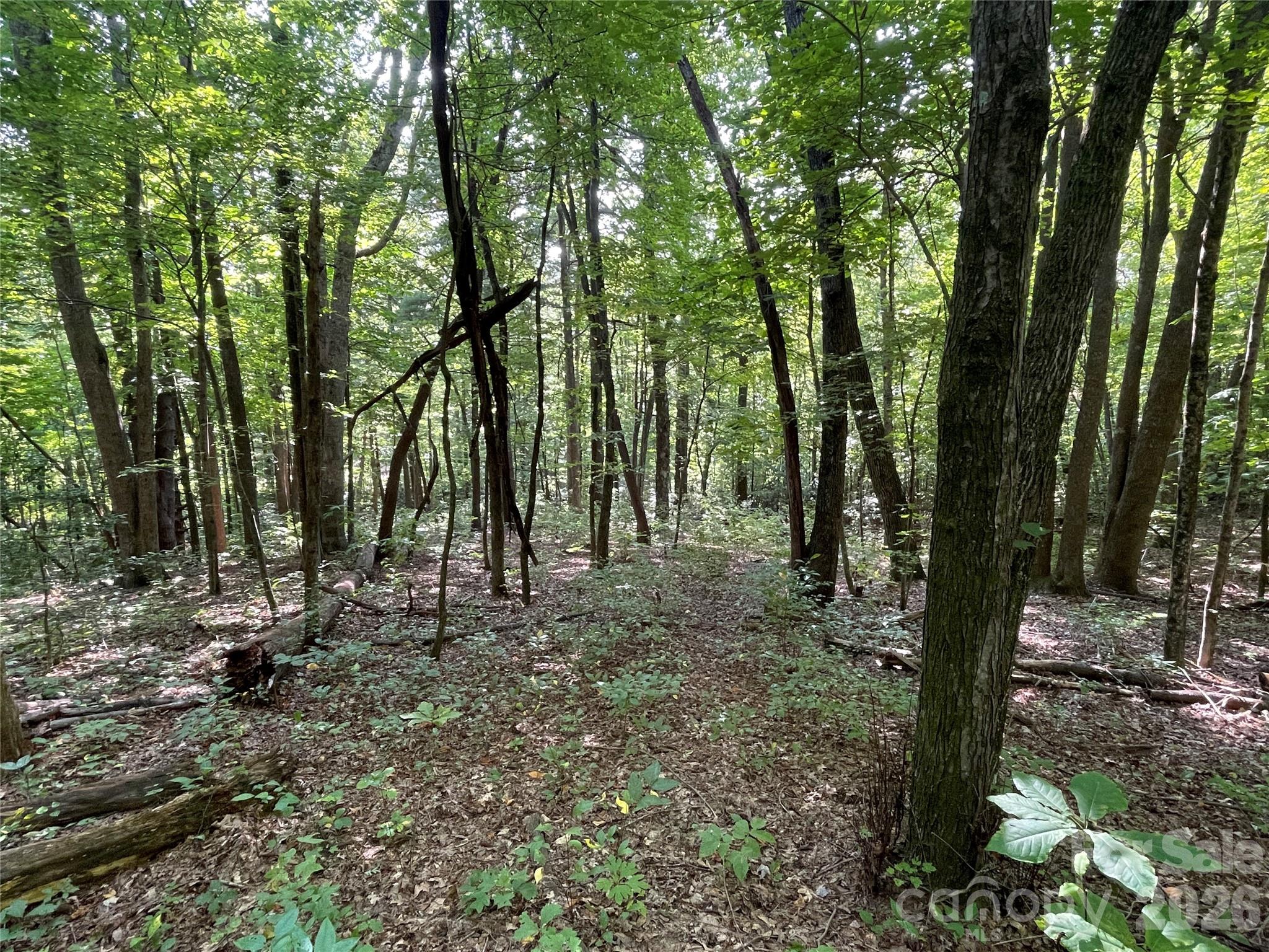 Lot 20 Haverhill Court Flat Rock NC 28731