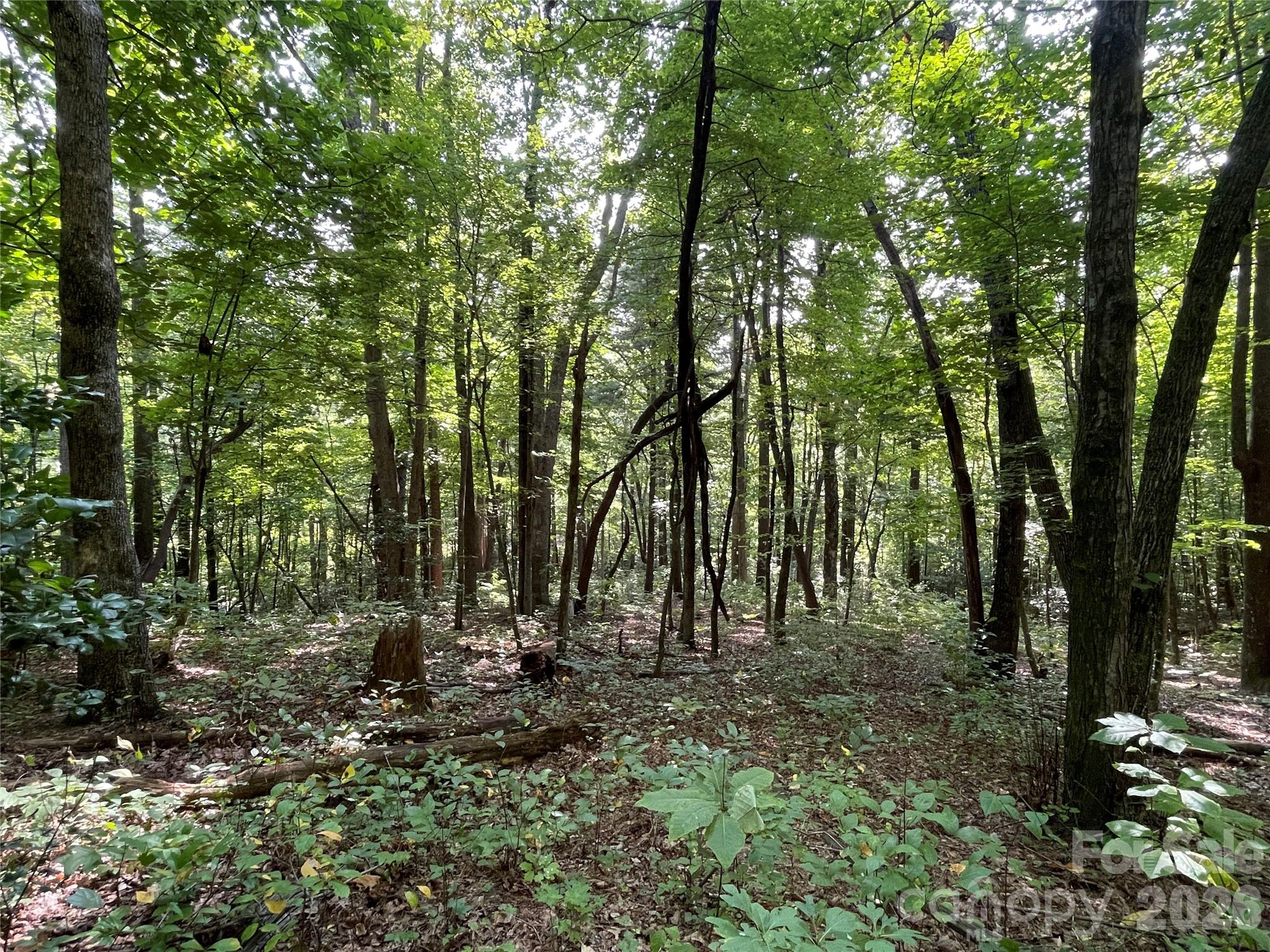 Lot 20 Haverhill Court Flat Rock NC 28731