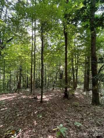 Lot 20 Haverhill Court Flat Rock NC 28731