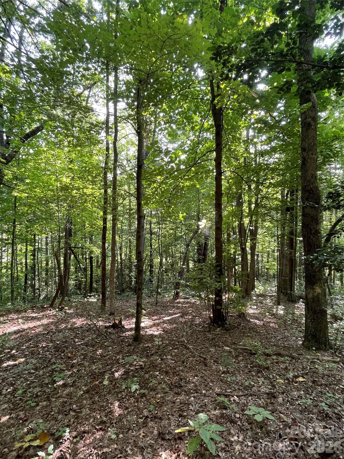 Lot 20 Haverhill Court Flat Rock NC 28731