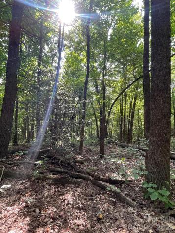 Lot 20 Haverhill Court Flat Rock NC 28731