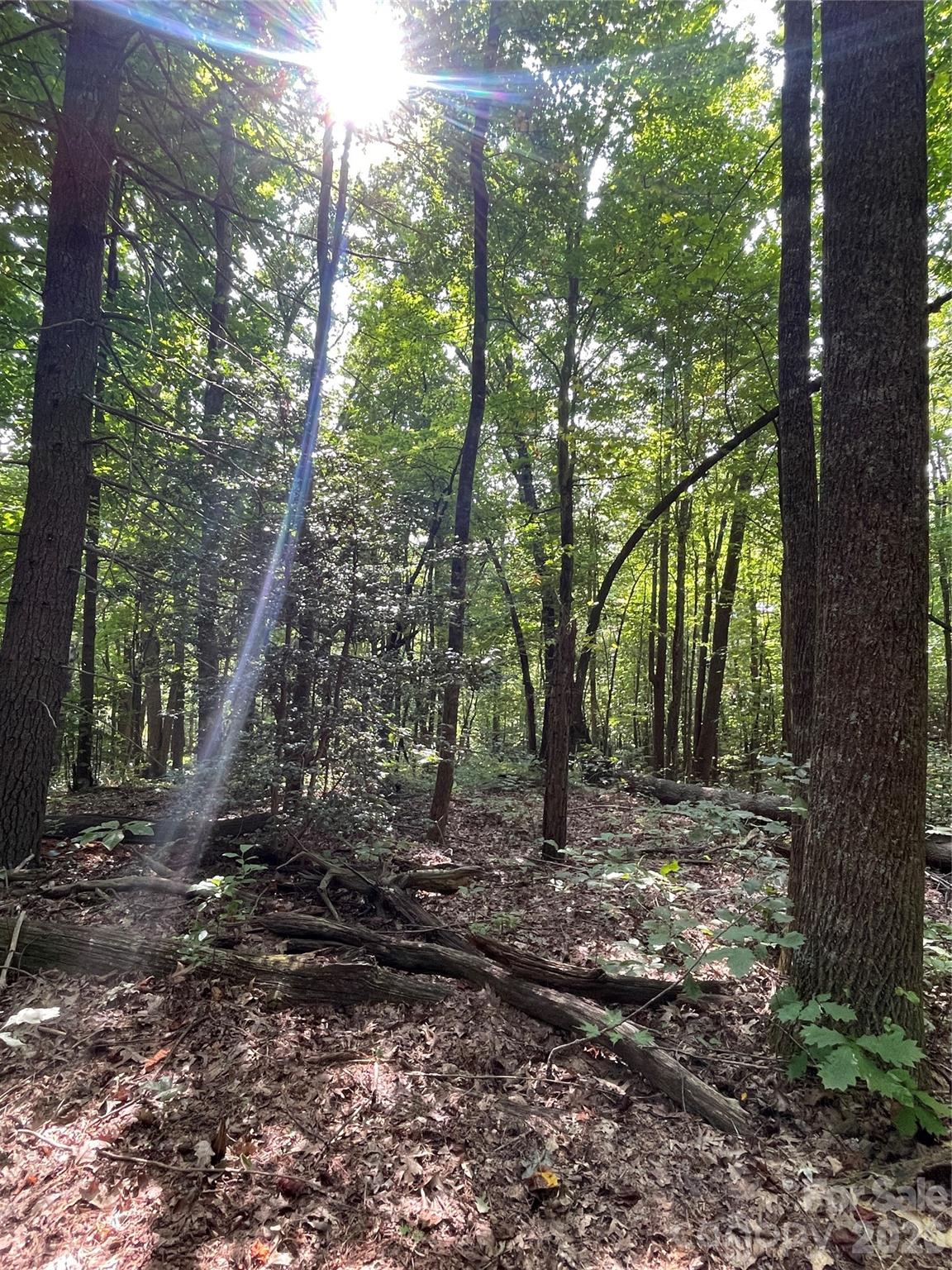 Lot 20 Haverhill Court Flat Rock NC 28731