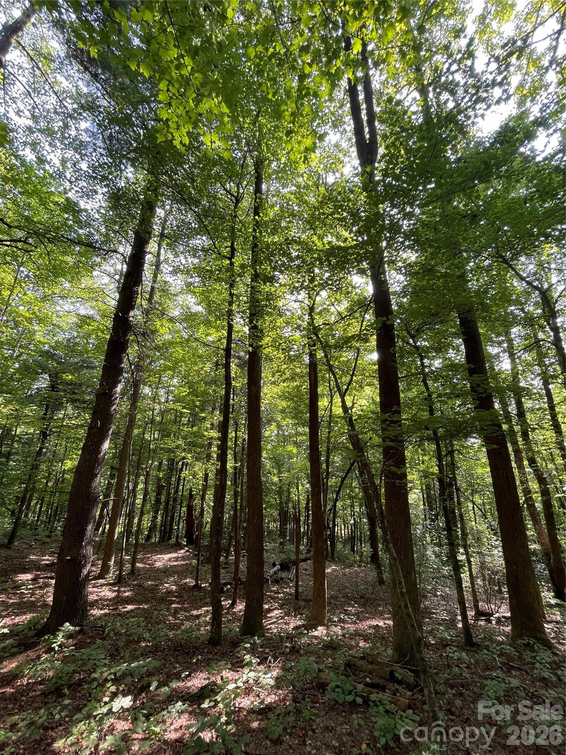 Lot 20 Haverhill Court Flat Rock NC 28731