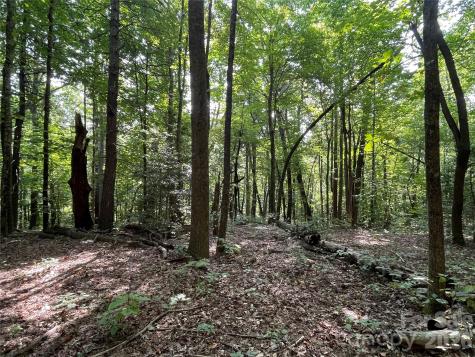 Lot 20 Haverhill Court Flat Rock NC 28731