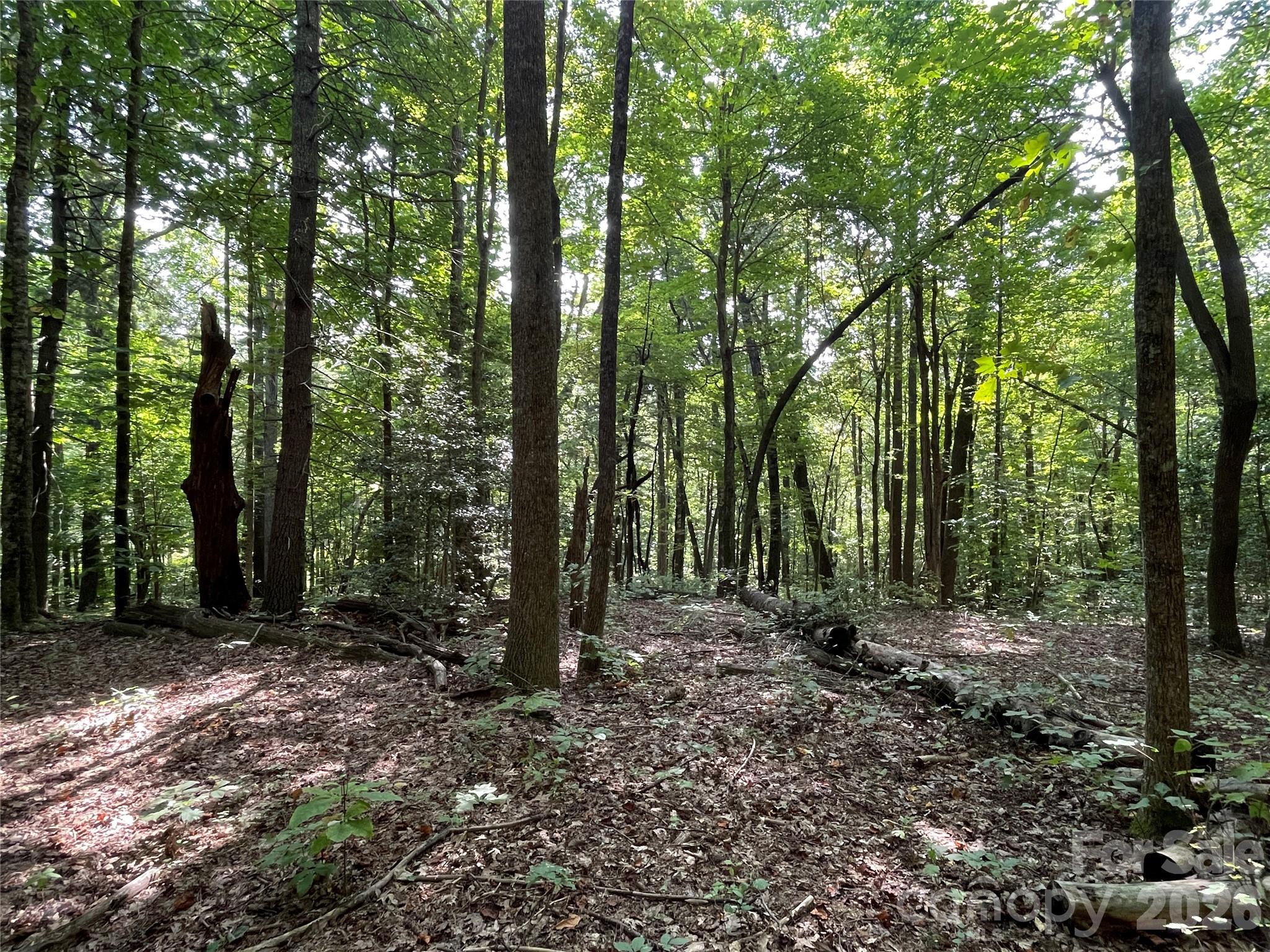 Lot 20 Haverhill Court Flat Rock NC 28731