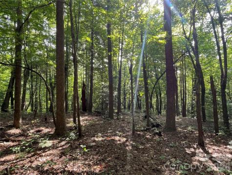 Lot 20 Haverhill Court Flat Rock NC 28731