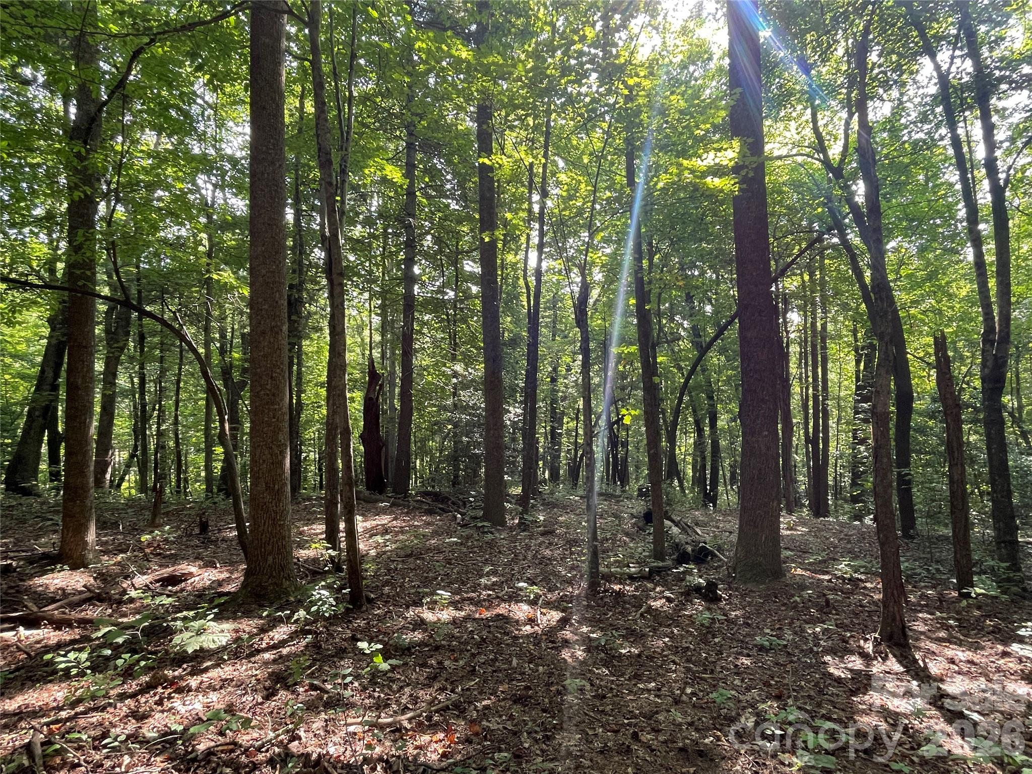 Lot 20 Haverhill Court Flat Rock NC 28731