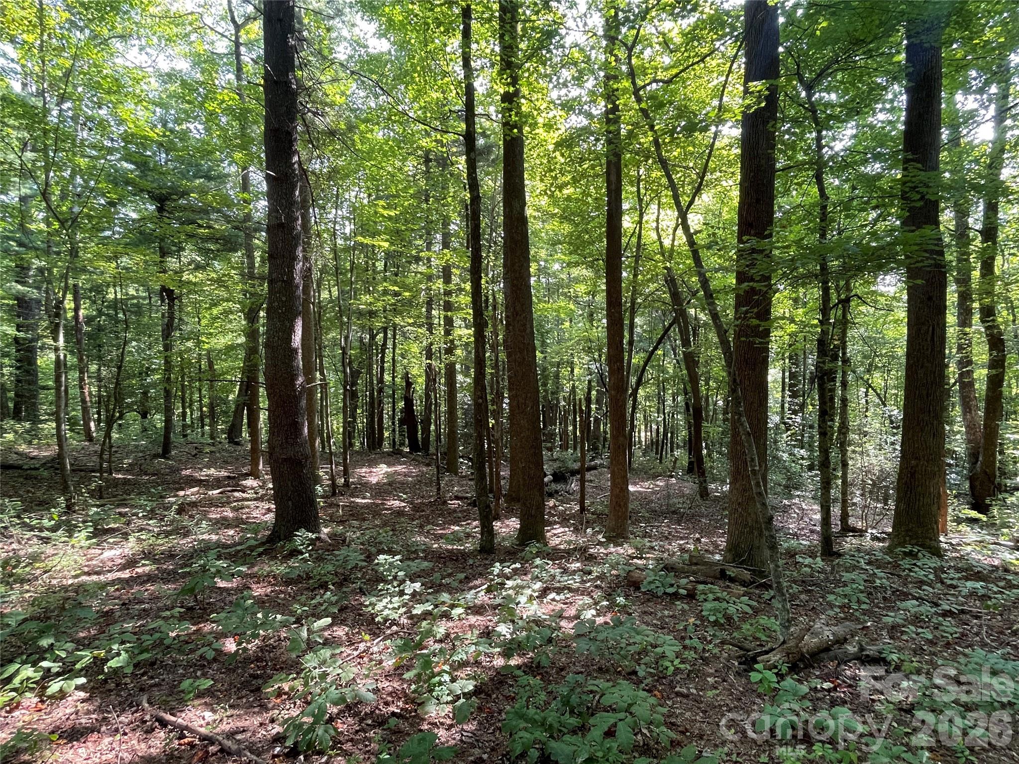 Lot 20 Haverhill Court Flat Rock NC 28731