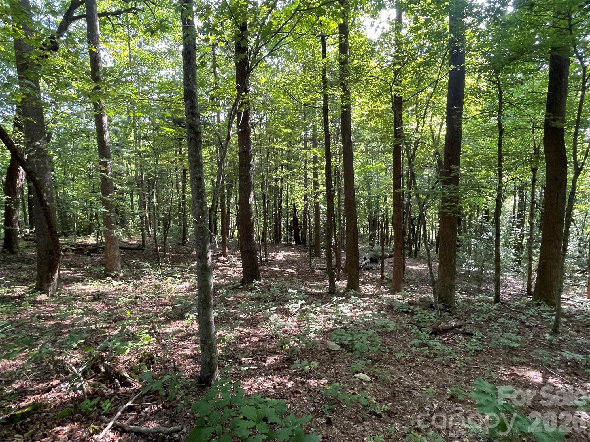 Lot 20 Haverhill Court Flat Rock NC 28731