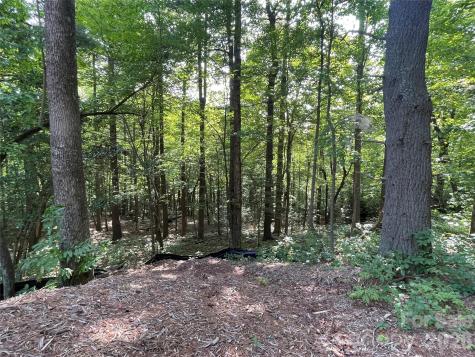 Lot 20 Haverhill Court Flat Rock NC 28731