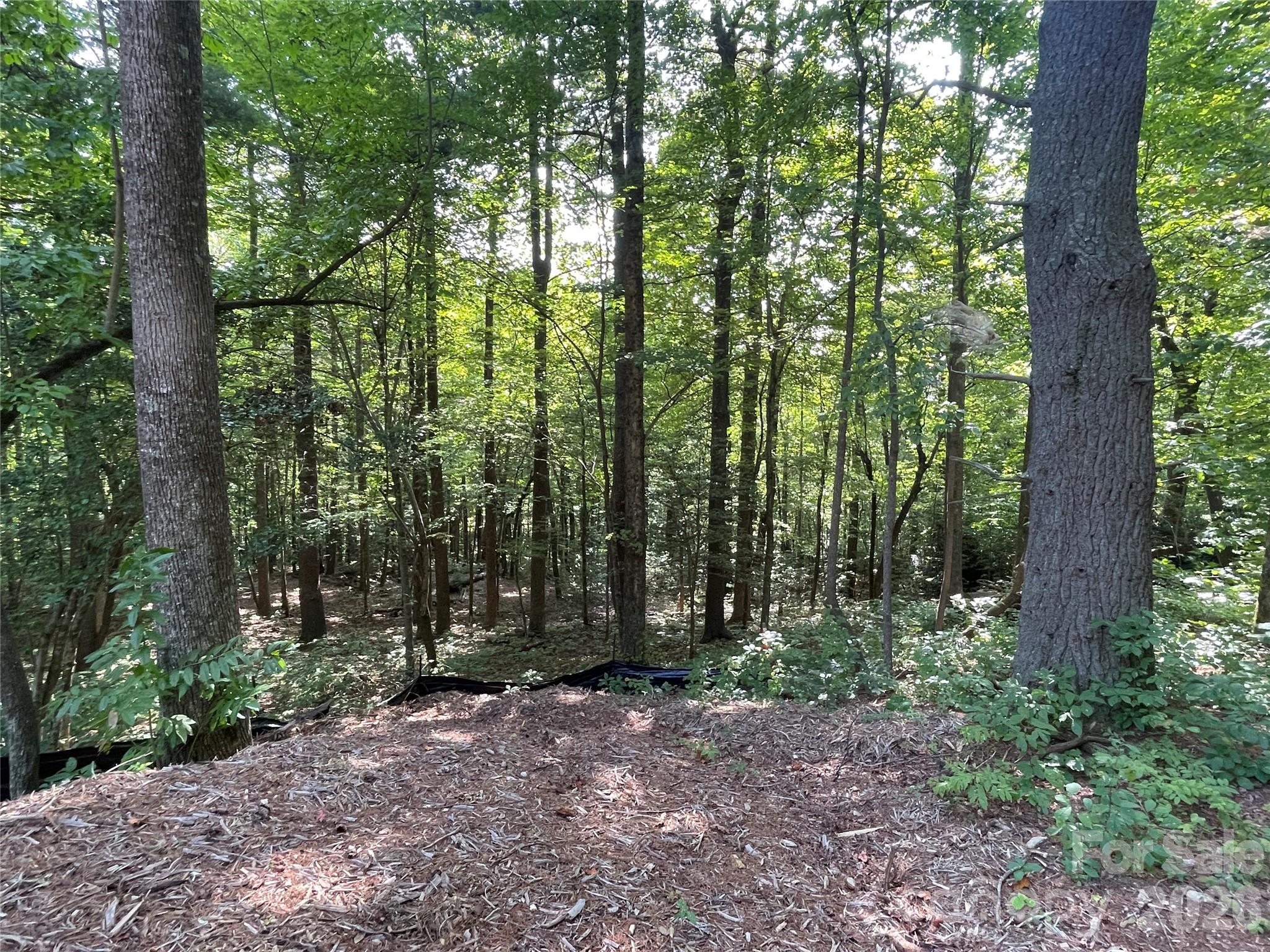 Lot 20 Haverhill Court Flat Rock NC 28731