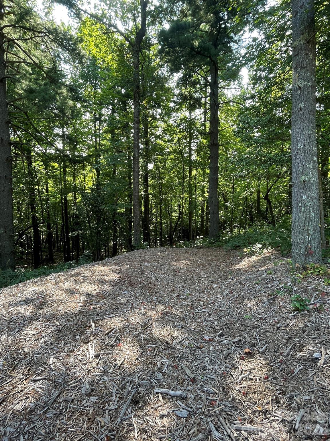Lot 20 Haverhill Court Flat Rock NC 28731