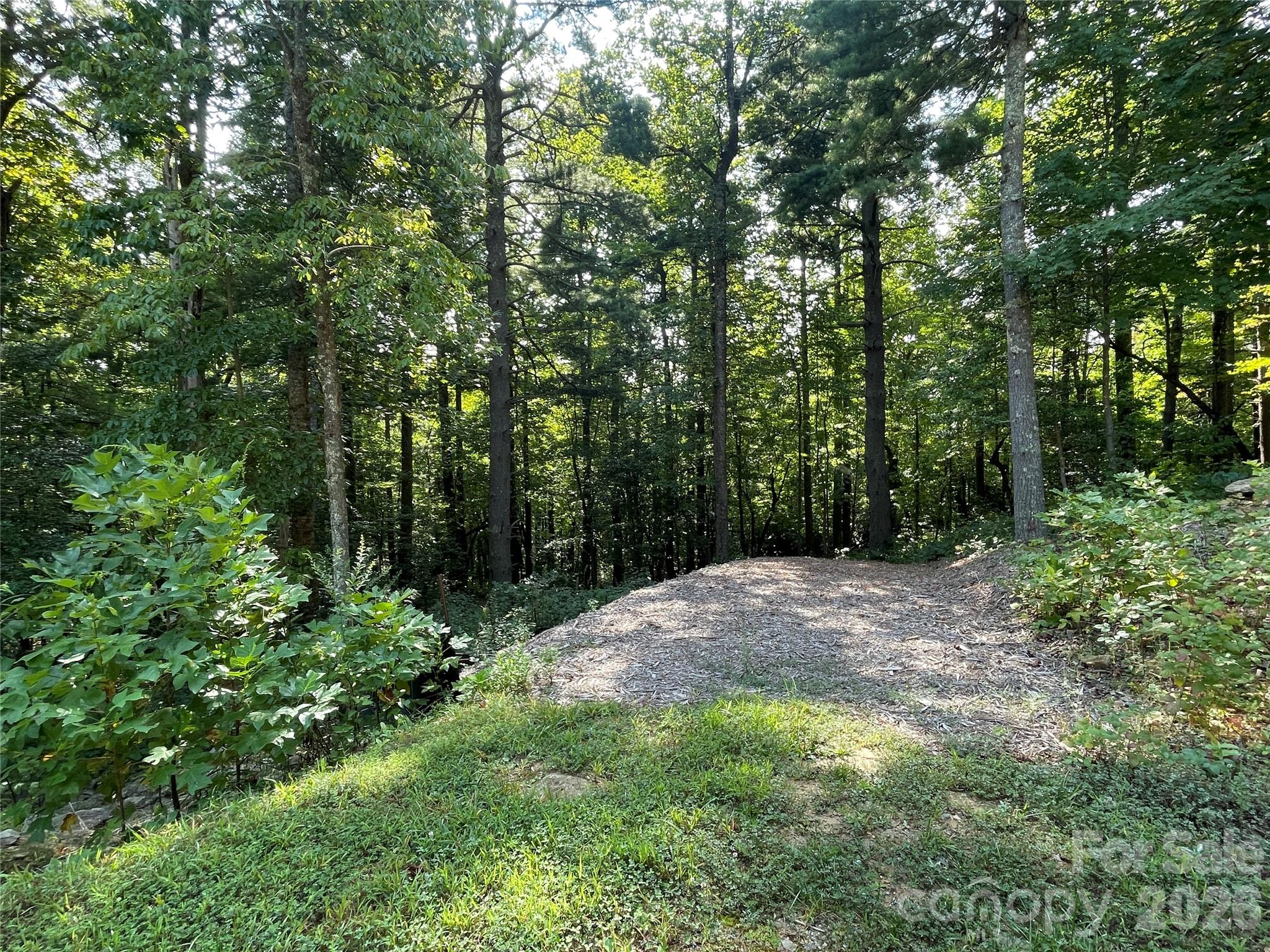 Lot 20 Haverhill Court Flat Rock NC 28731
