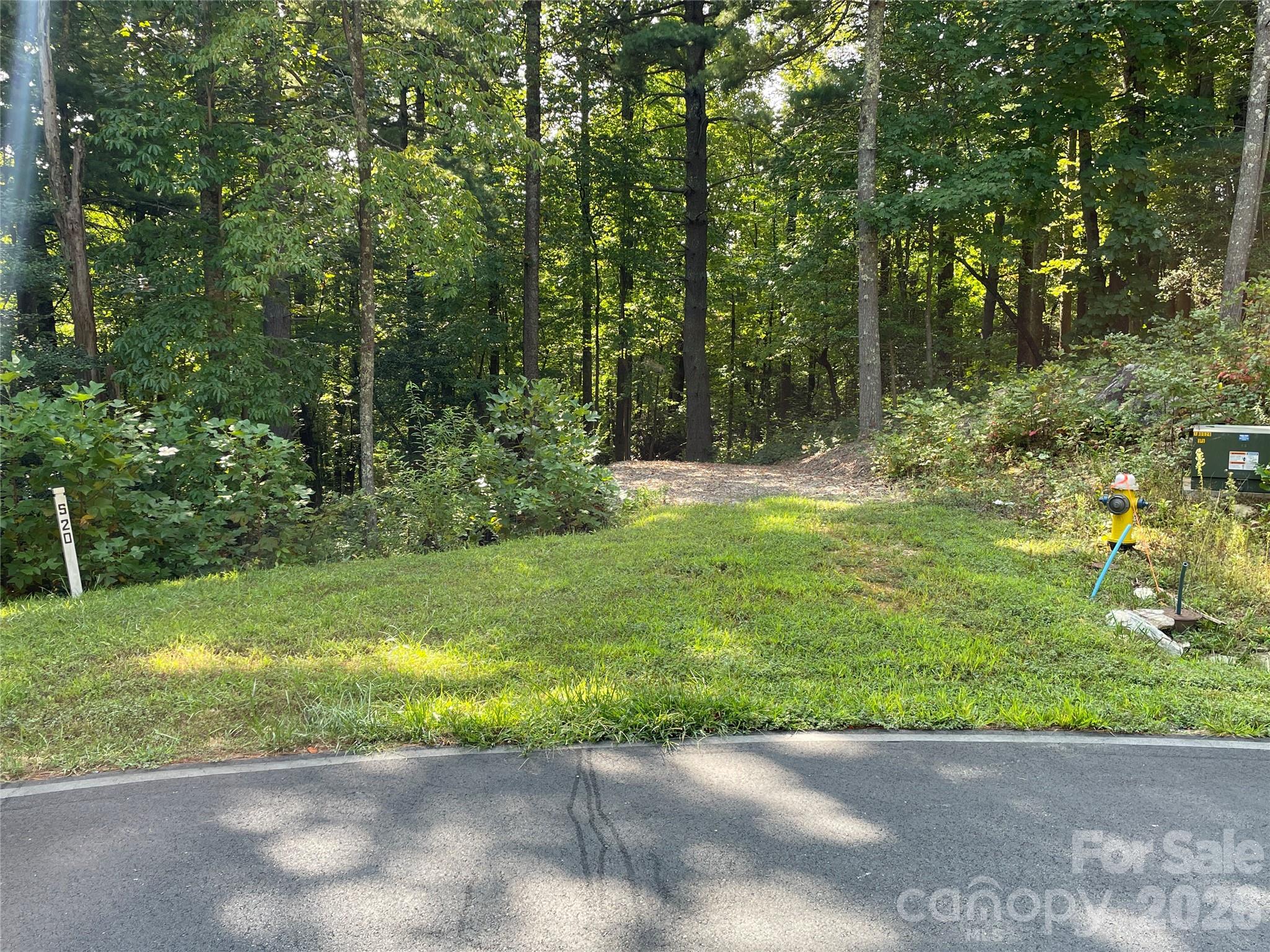 Lot 20 Haverhill Court Flat Rock NC 28731