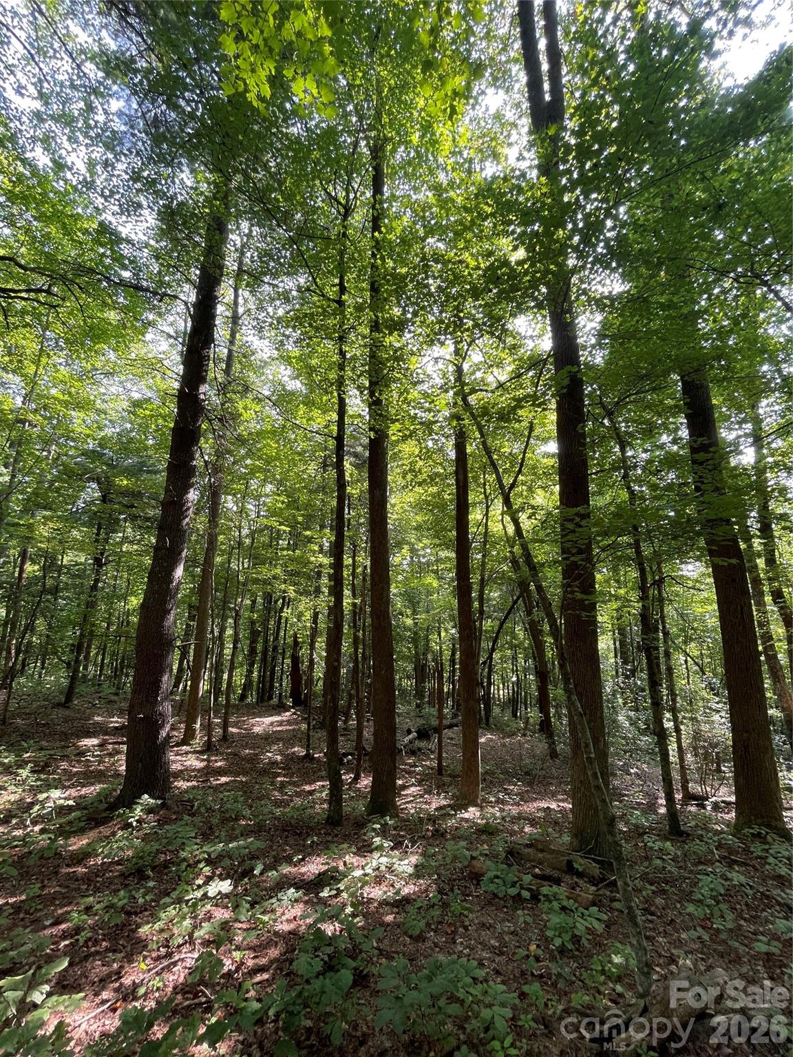 Lot 20 Haverhill Court Flat Rock NC 28731