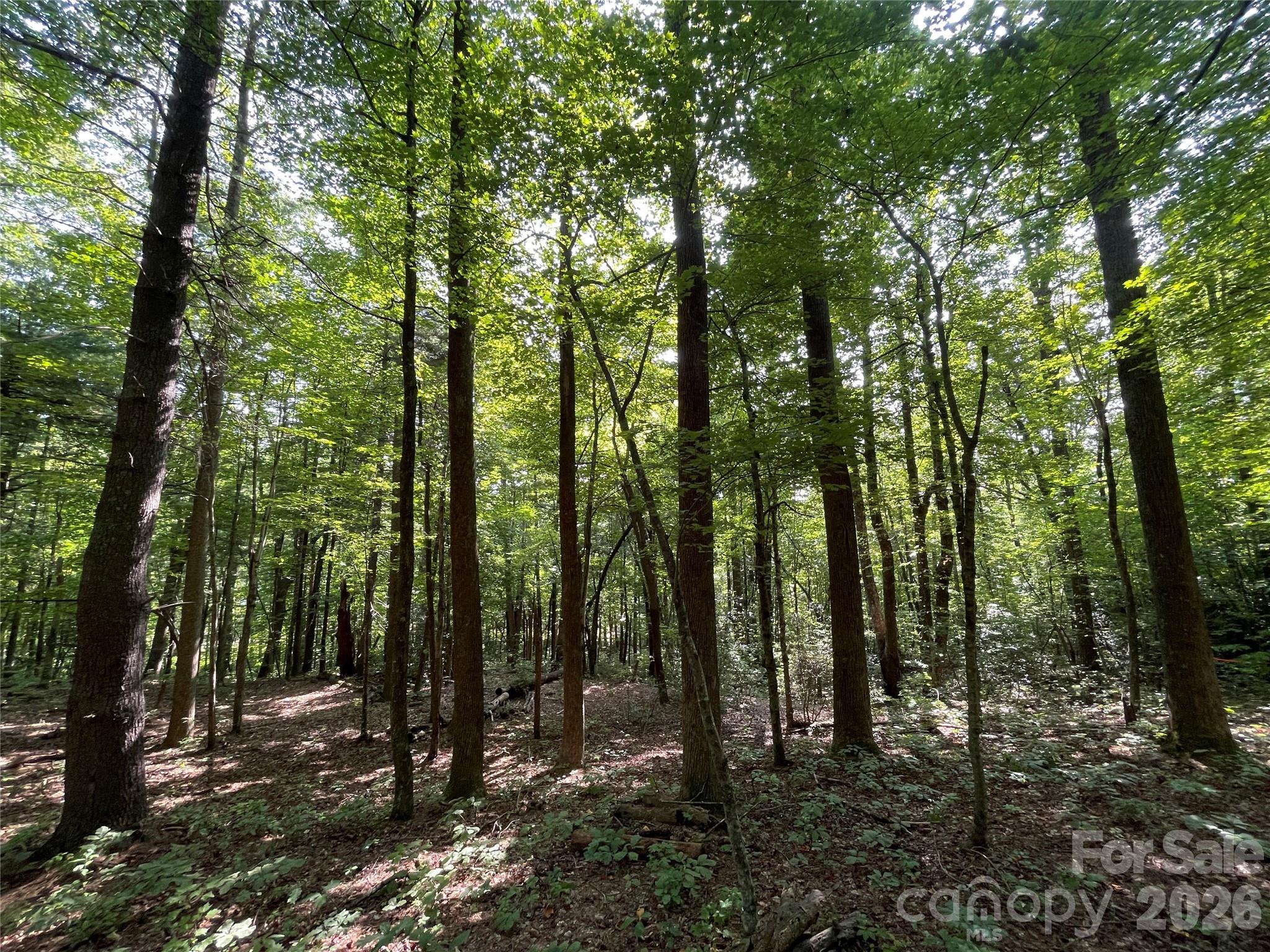 Lot 20 Haverhill Court Flat Rock NC 28731