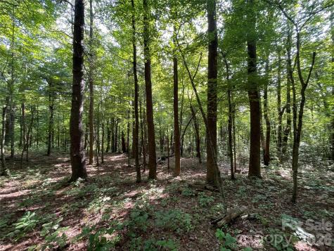 Lot 20 Haverhill Court Flat Rock NC 28731