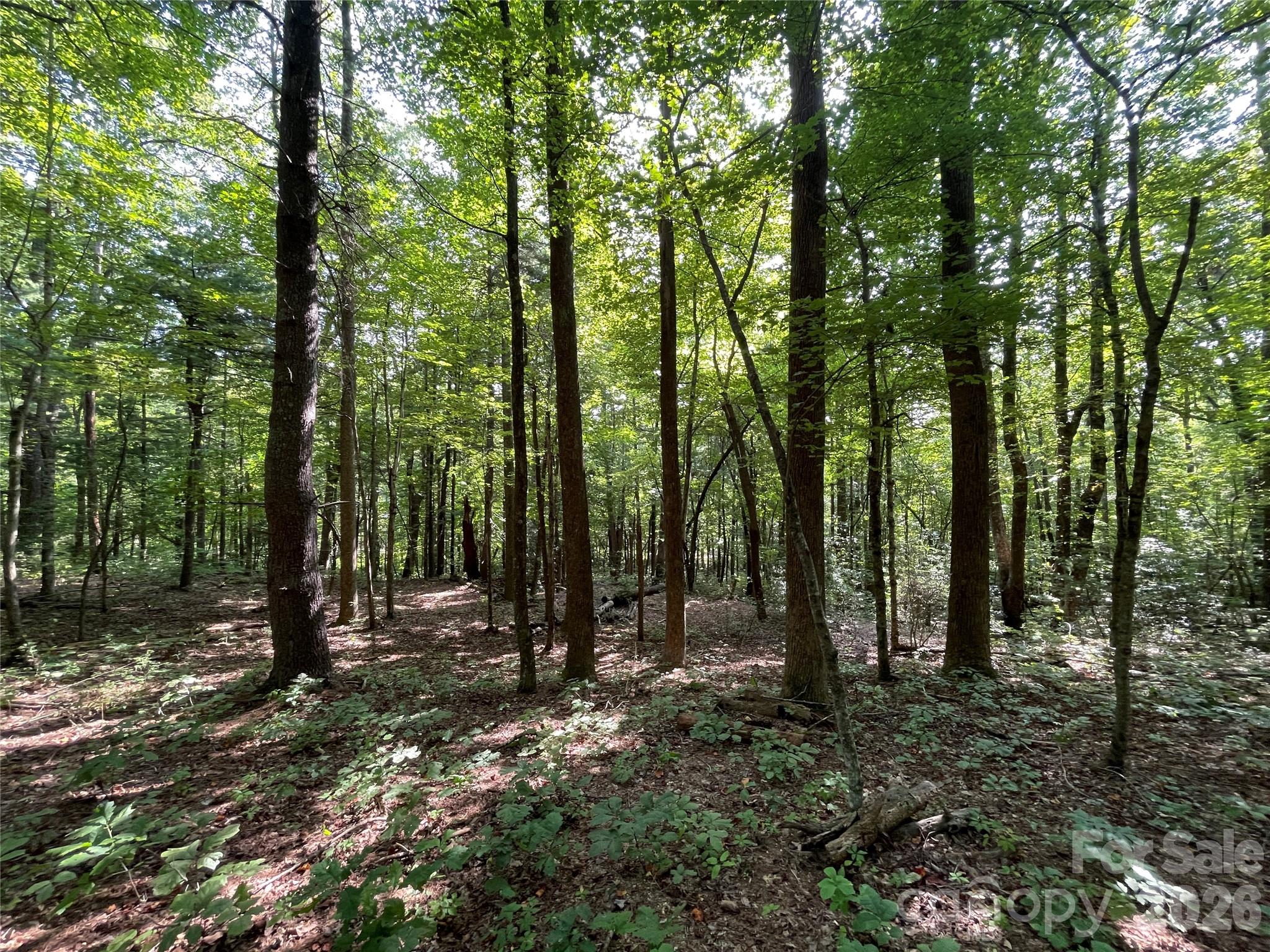 Lot 20 Haverhill Court Flat Rock NC 28731