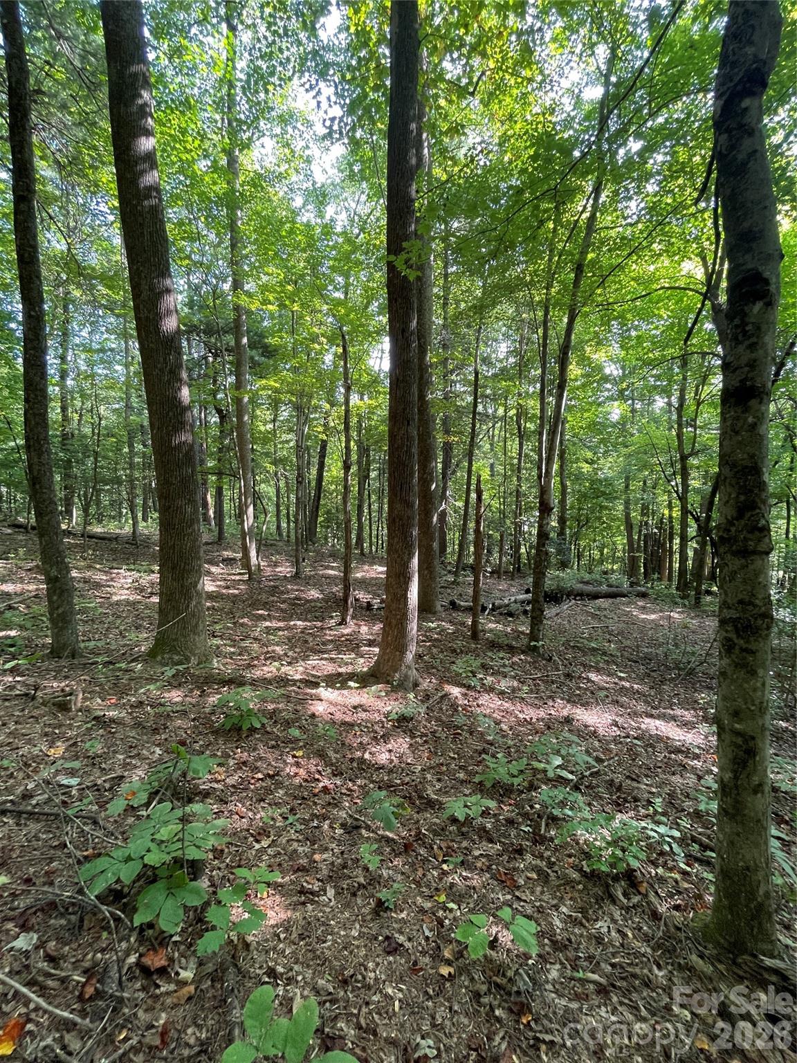 Lot 20 Haverhill Court Flat Rock NC 28731