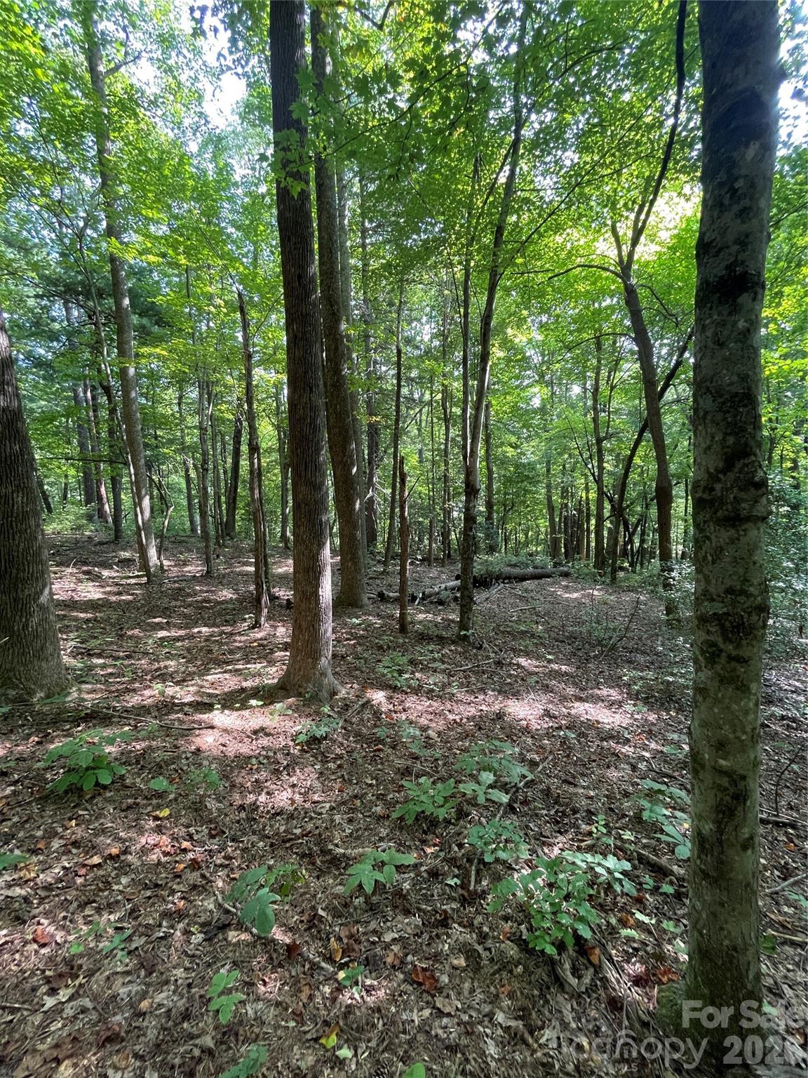 Lot 20 Haverhill Court Flat Rock NC 28731