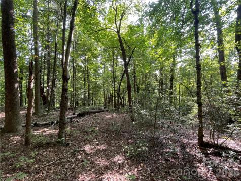 Lot 20 Haverhill Court Flat Rock NC 28731