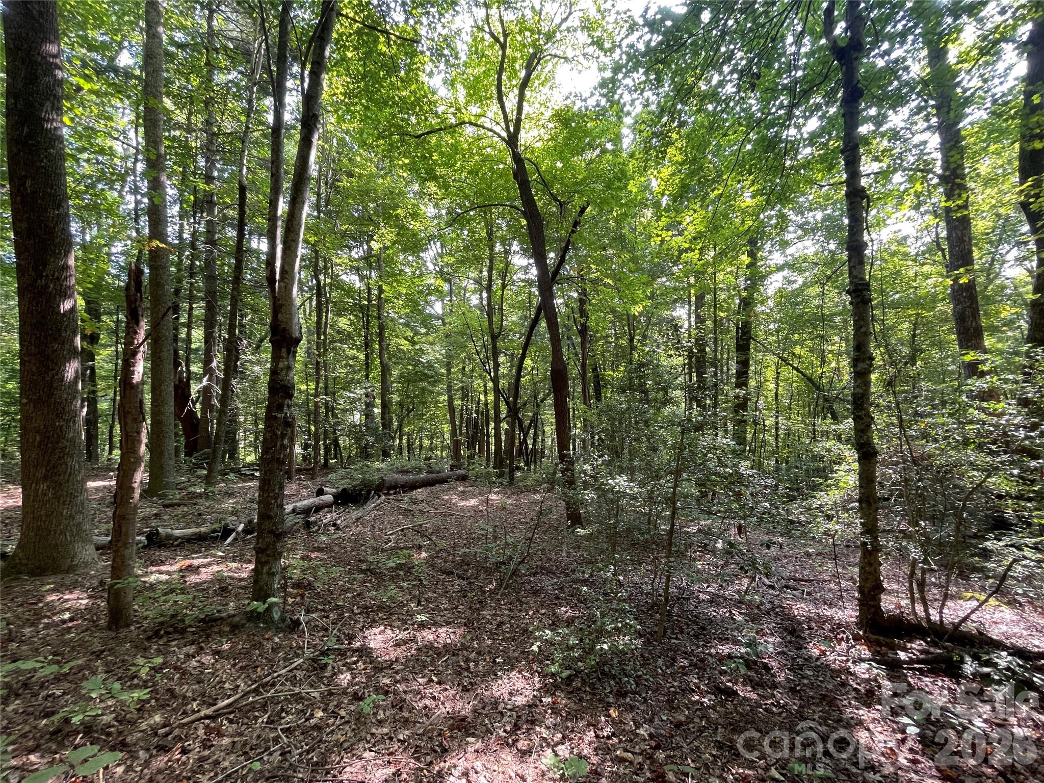 Lot 20 Haverhill Court Flat Rock NC 28731