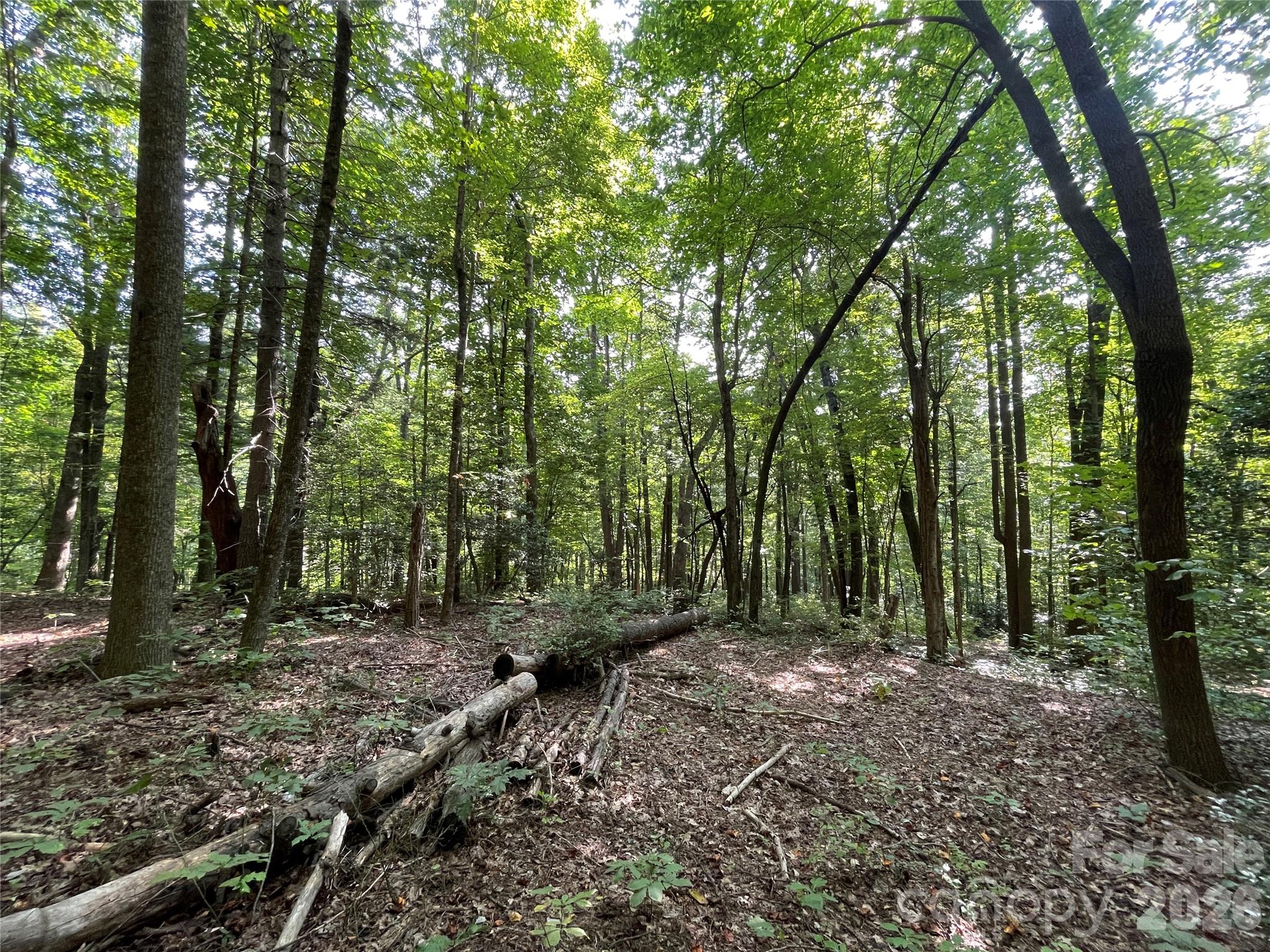 Lot 20 Haverhill Court Flat Rock NC 28731