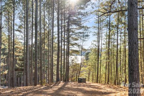 119 Wood Cove Lane Stony Point NC 28678
