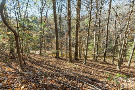 119 Wood Cove Lane Stony Point NC 28678