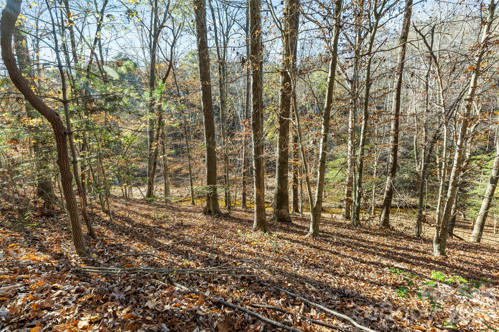 119 Wood Cove Lane Stony Point NC 28678