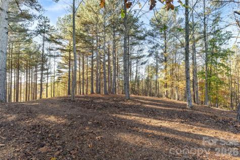 119 Wood Cove Lane Stony Point NC 28678