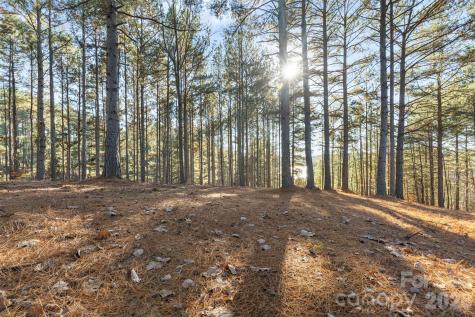 119 Wood Cove Lane Stony Point NC 28678