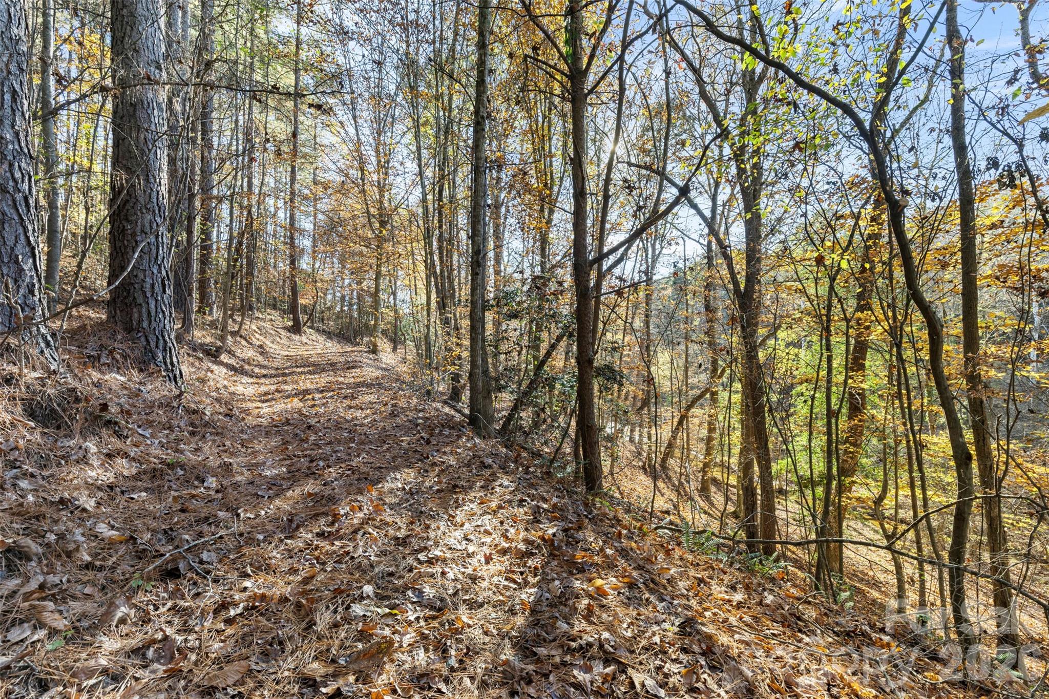 119 Wood Cove Lane Stony Point NC 28678