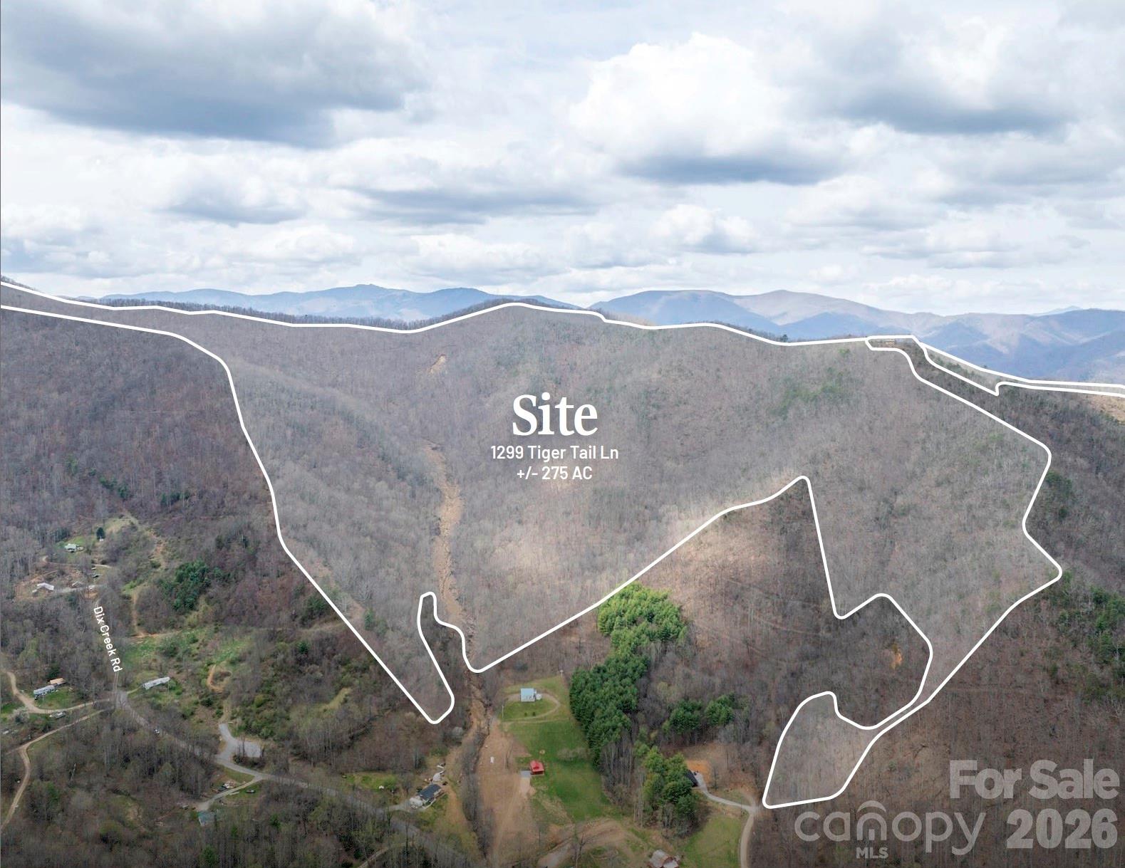 1299 Tiger Tail Lane Canton NC 28716