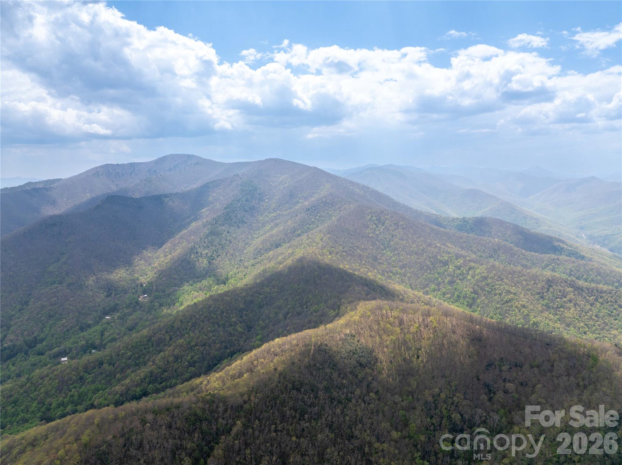 1299 Tiger Tail Lane Canton NC 28716