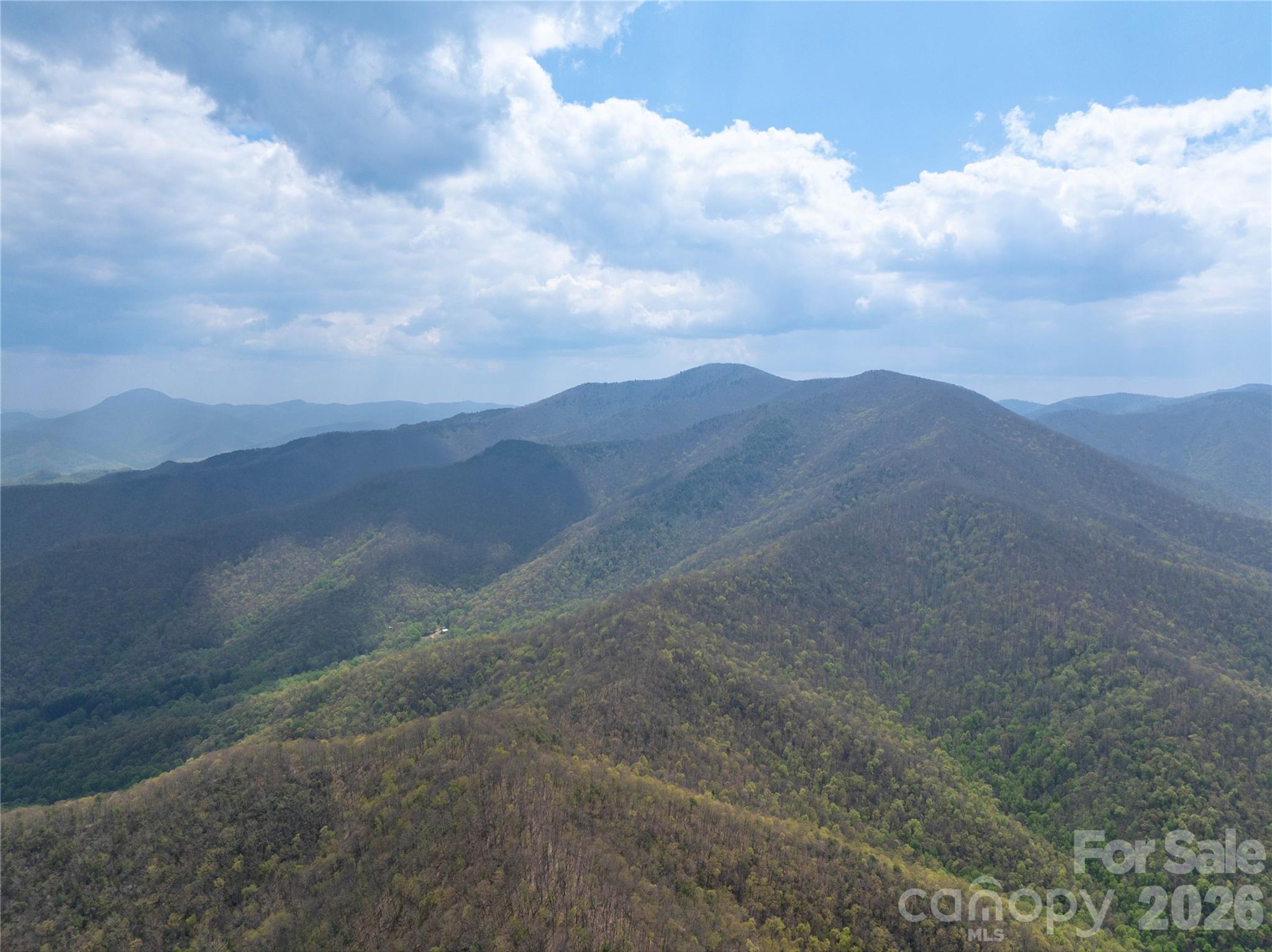 1299 Tiger Tail Lane Canton NC 28716
