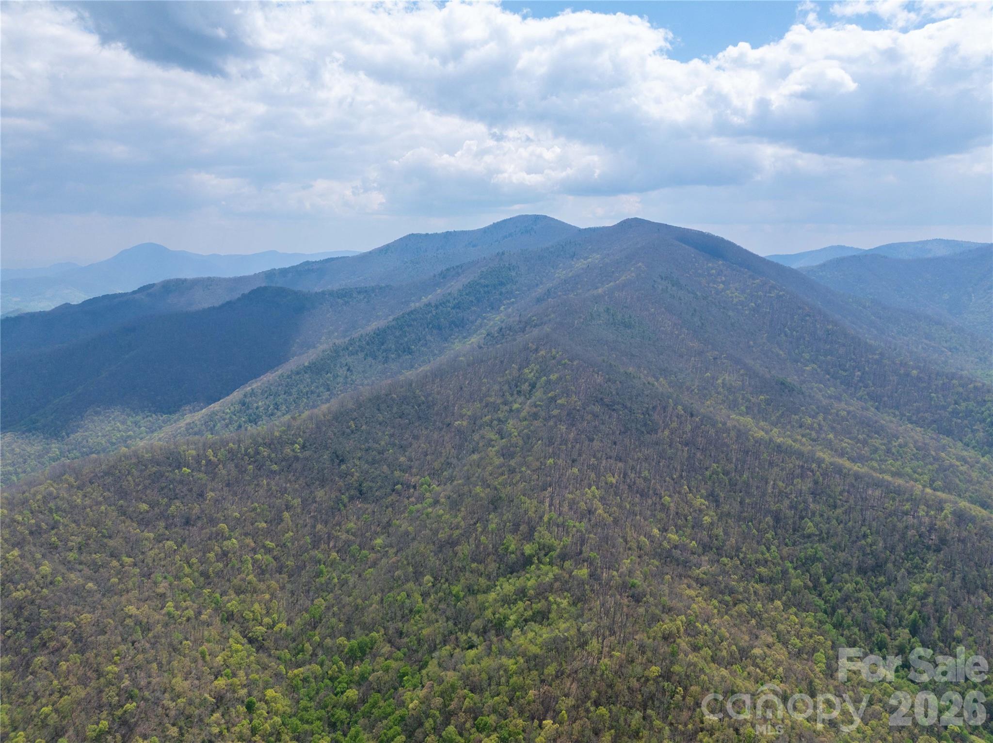 1299 Tiger Tail Lane Canton NC 28716