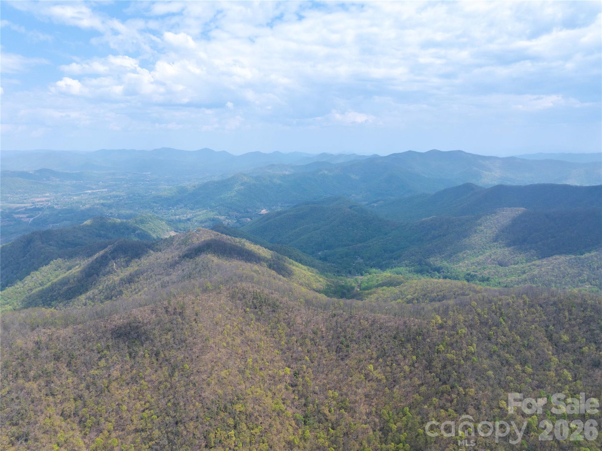 1299 Tiger Tail Lane Canton NC 28716
