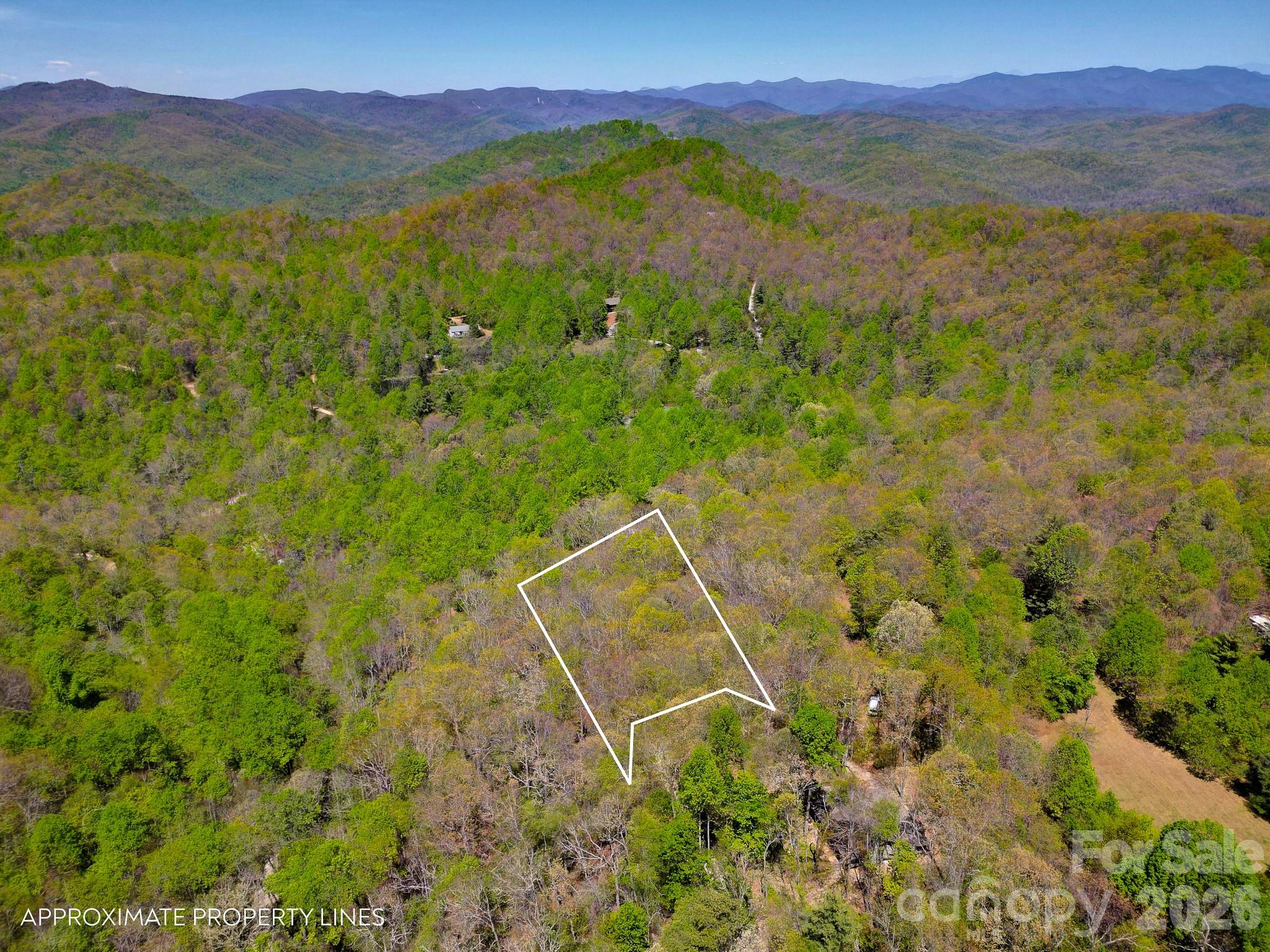 99999 Laurel Drive Black Mountain NC 28711