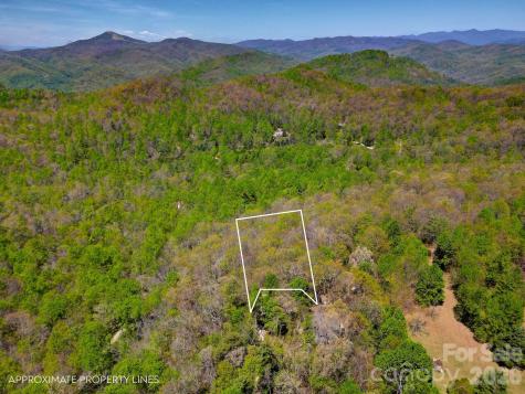 99999 Laurel Drive Black Mountain NC 28711