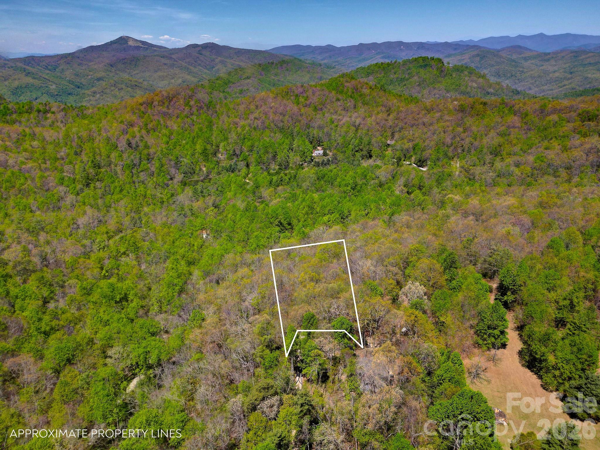 99999 Laurel Drive Black Mountain NC 28711