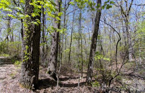 99999 Laurel Drive Black Mountain NC 28711