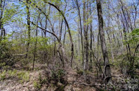 99999 Laurel Drive Black Mountain NC 28711