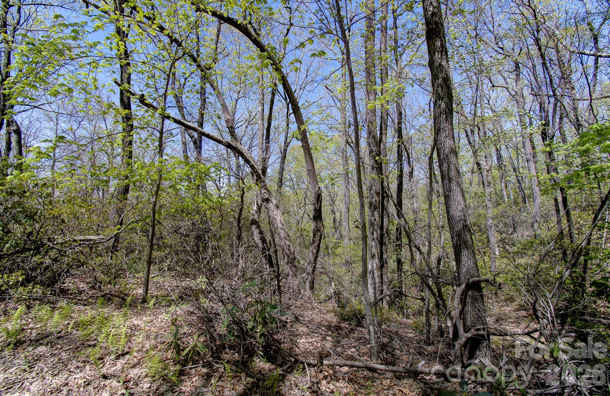 99999 Laurel Drive Black Mountain NC 28711