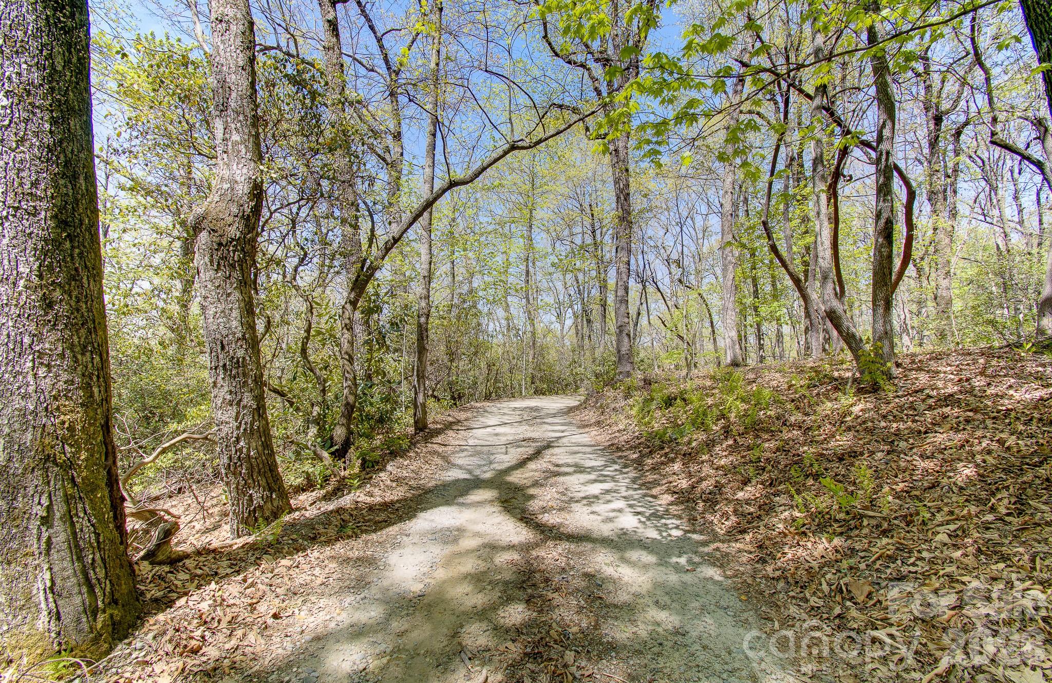 99999 Laurel Drive Black Mountain NC 28711
